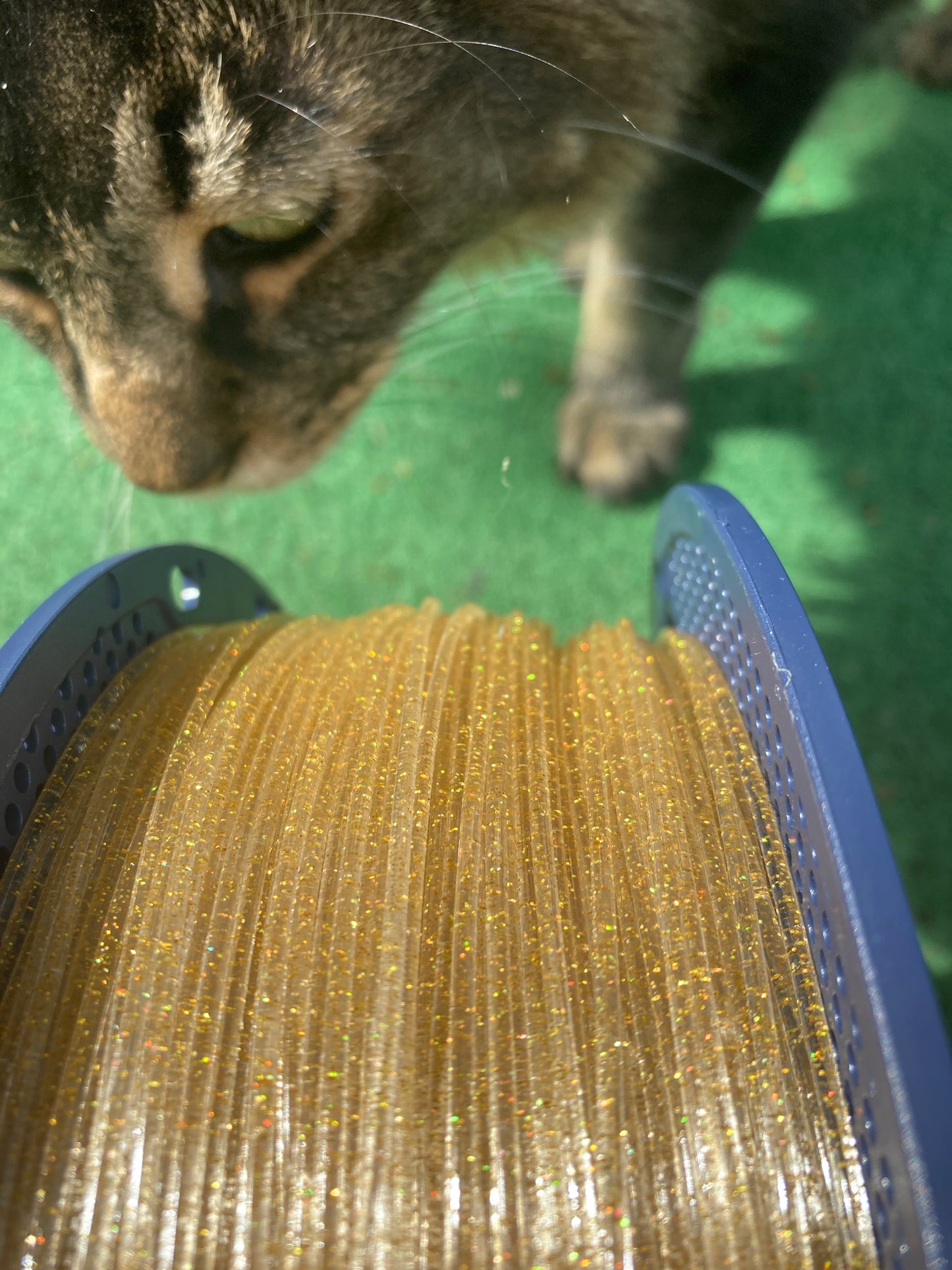 Gold Glitter Clear